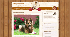 Desktop Screenshot of kyno.pl